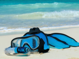 L’attrezzatura da snorkeling 1310 0 attrezzatura snorkeling